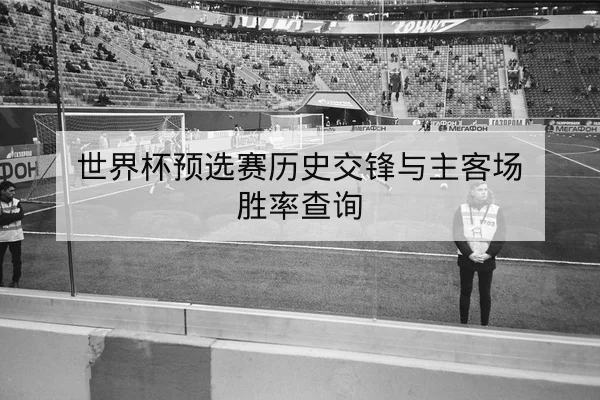 欧冠淘汰赛两回合进球地点与比分分布查询
